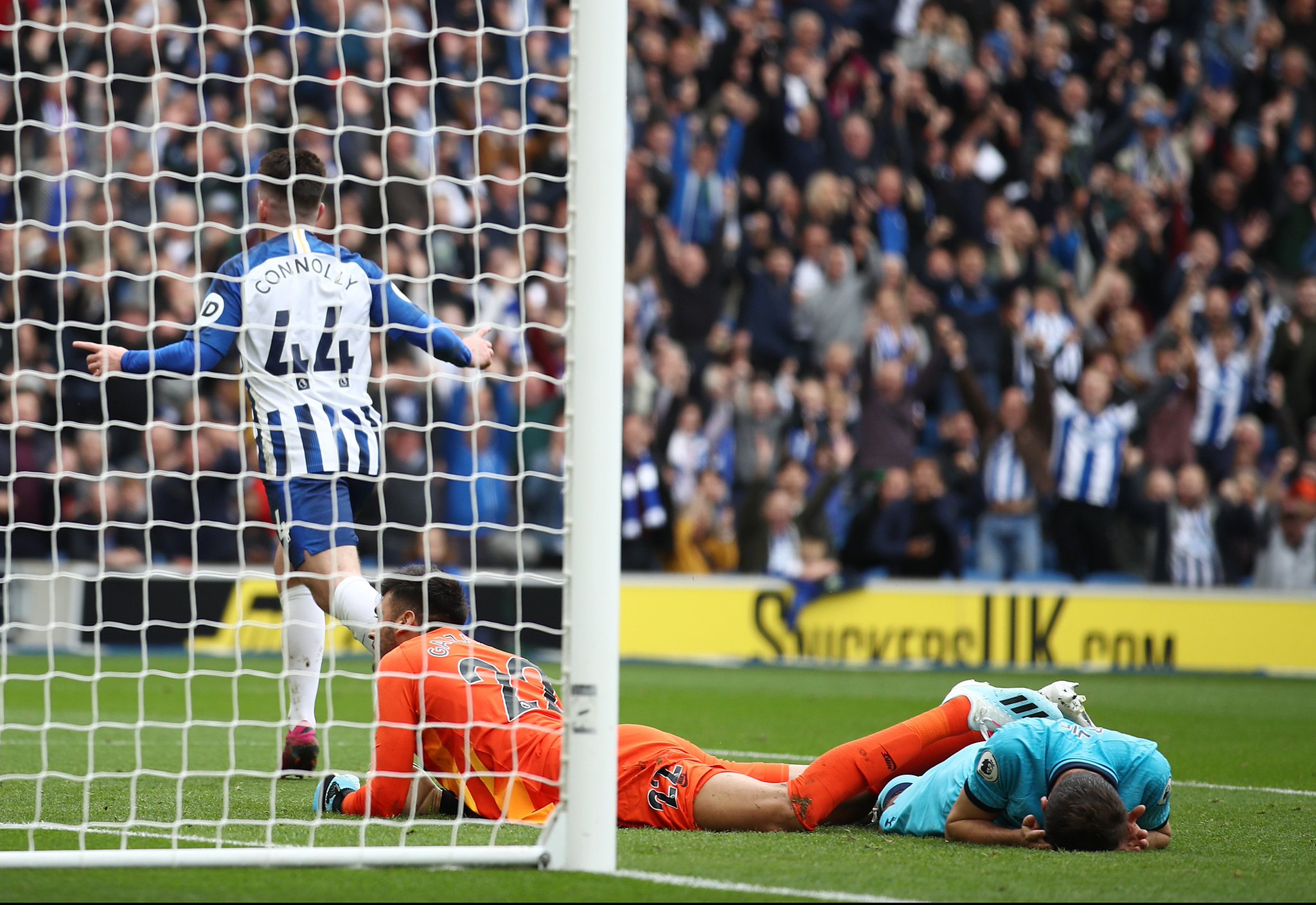 己无可争议 己无可争议